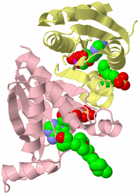 Image Biological Unit 2