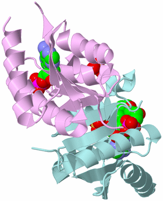 Image Biological Unit 3