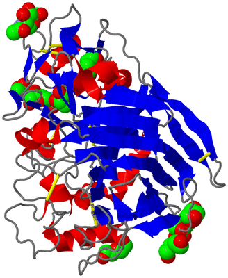 Image Asym./Biol. Unit