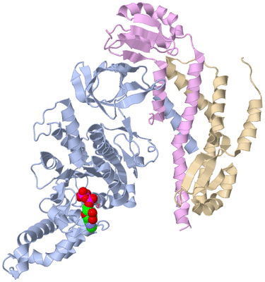 Image Biological Unit 1