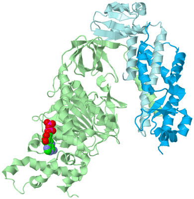 Image Biological Unit 2