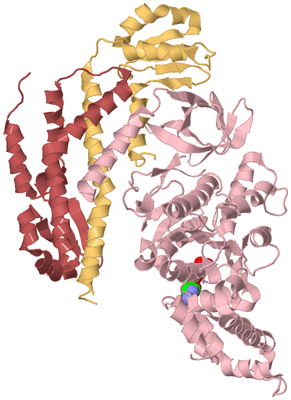 Image Biological Unit 3