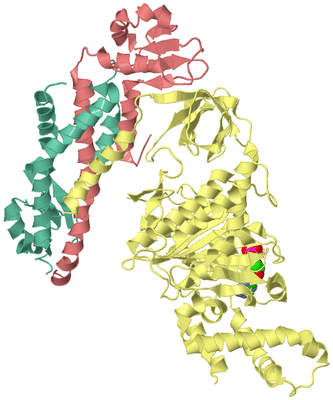 Image Biological Unit 4