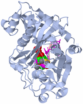 Image Biological Unit 2