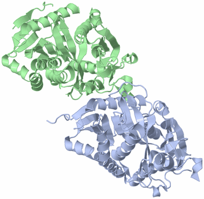 Image Asym./Biol. Unit