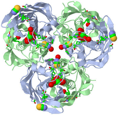 Image Biol. Unit 1 - sites