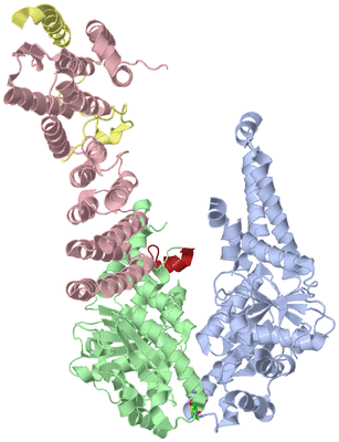 Image Asym./Biol. Unit - sites