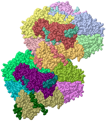 Image Asym./Biol. Unit