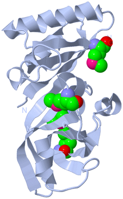 Image Biological Unit 1