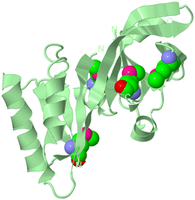 Image Biological Unit 2