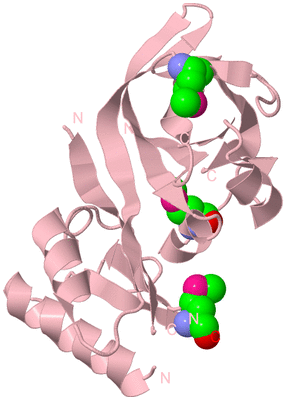 Image Biological Unit 3