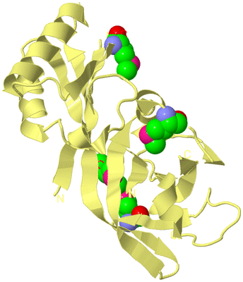 Image Biological Unit 4