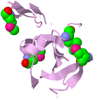 Image Biological Unit 5