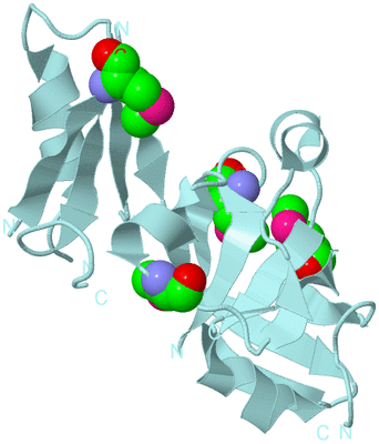 Image Biological Unit 6