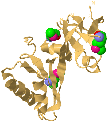 Image Biological Unit 7