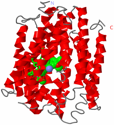 Image Asym./Biol. Unit - sites