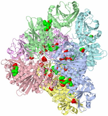 Image Biological Unit 1