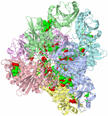 Image Biol. Unit 1 - sites