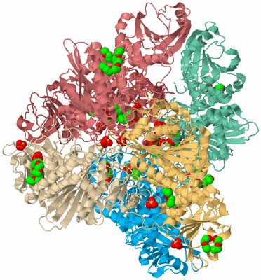 Image Biological Unit 2