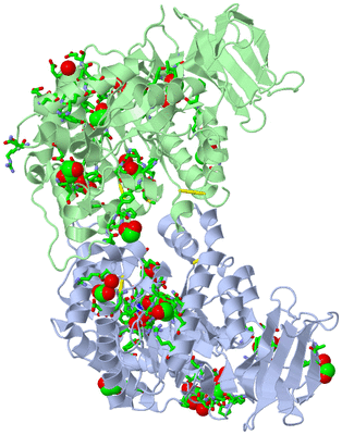 Image Asym./Biol. Unit - sites