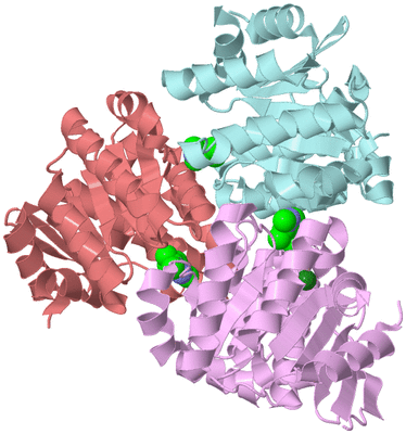 Image Biological Unit 2