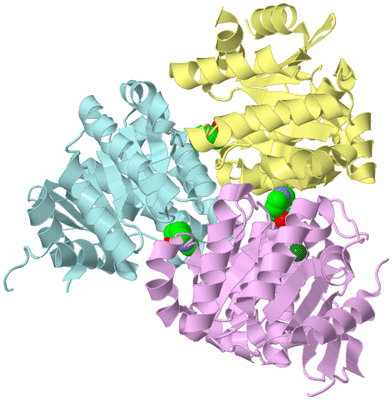 Image Biological Unit 2