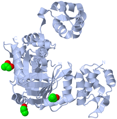 Image Biological Unit 1