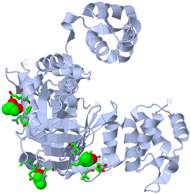 Image Biol. Unit 1 - sites