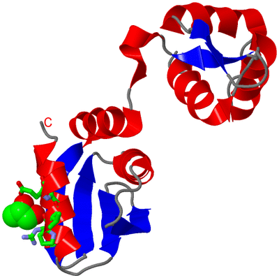 Image Asym. Unit - sites