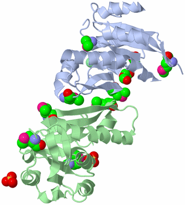 Image Asym./Biol. Unit