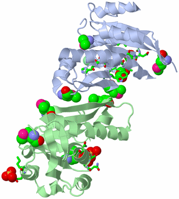 Image Asym./Biol. Unit - sites