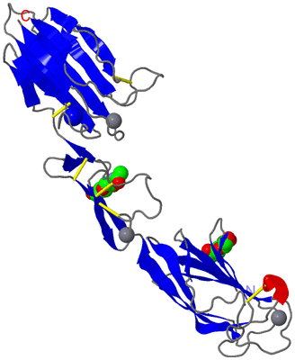 Image Asymmetric Unit