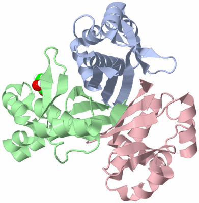 Image Asym./Biol. Unit