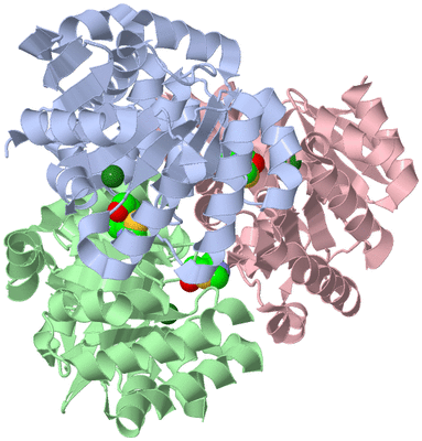 Image Biological Unit 1