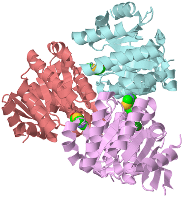 Image Biological Unit 2