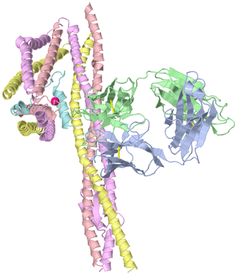 Image Biological Unit 1