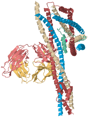 Image Biological Unit 2