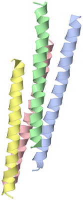 Image Asymmetric Unit