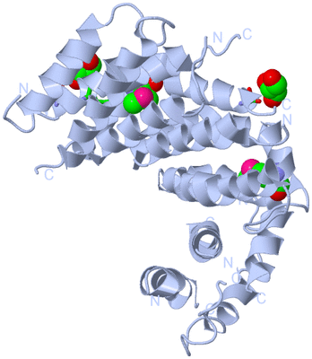 Image Biol. Unit 1 - sites