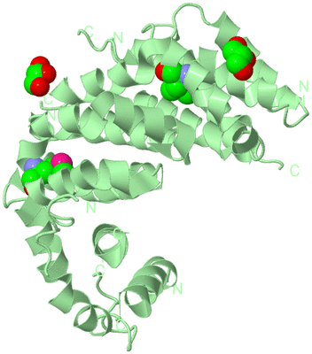 Image Biological Unit 2