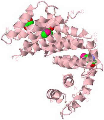 Image Biological Unit 3