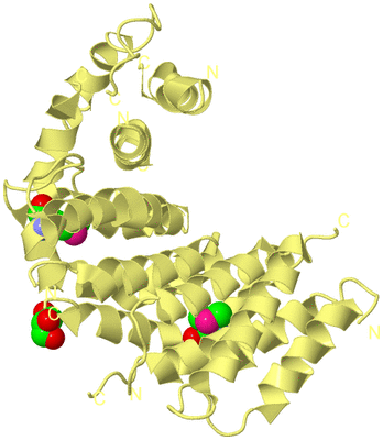 Image Biological Unit 4