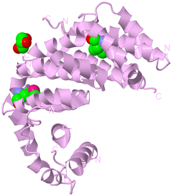 Image Biological Unit 5