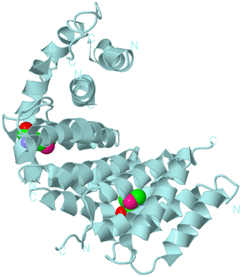 Image Biological Unit 6