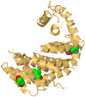 Image Biological Unit 7