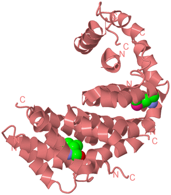 Image Biological Unit 8