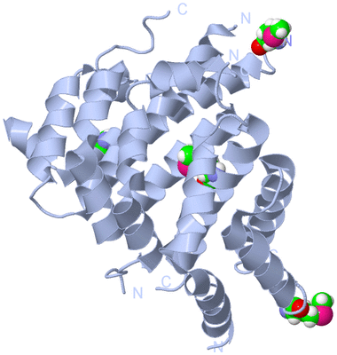 Image Biological Unit 1