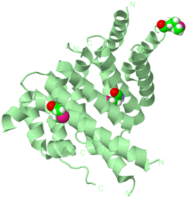 Image Biological Unit 2