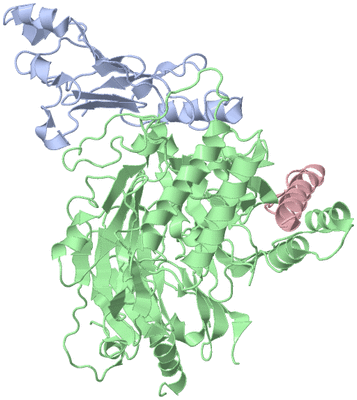 Image Asym./Biol. Unit