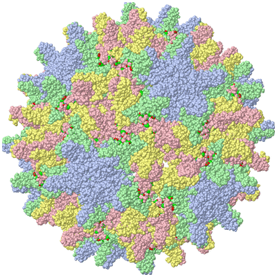 Image Biol. Unit 1 - sites